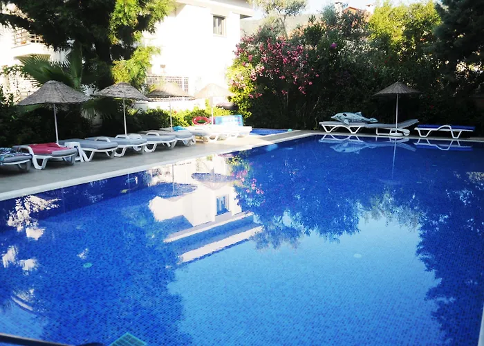 Hotel Navy 3*
