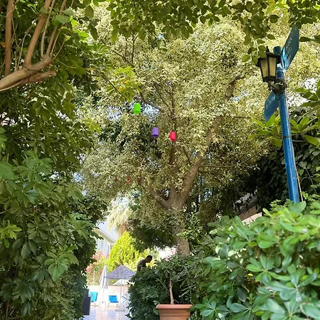 奈维酒店 伊丘美勒